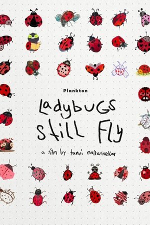 Ladybugs Still Fly (2025)