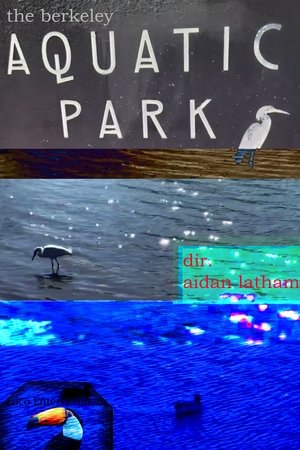 The Berkeley Aquatic Park (2021)