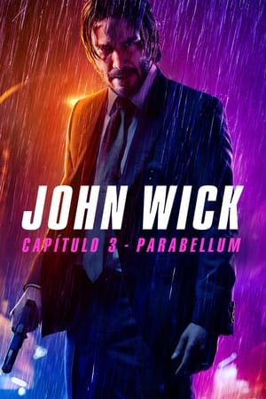 Poster John Wick 3 - Implacável 2019
