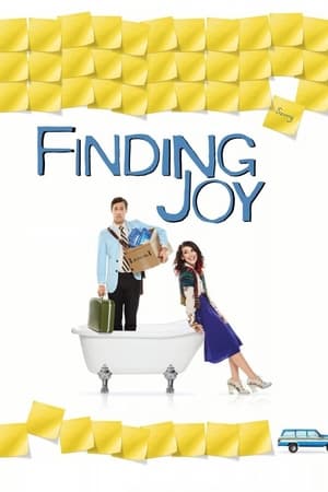 Poster Finding Joy 2013