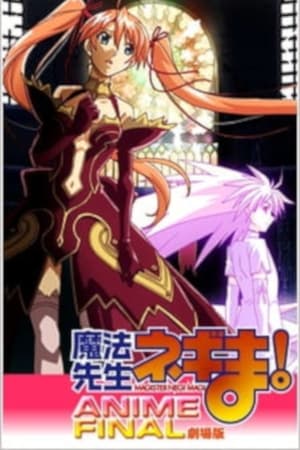 Poster Magister Negi Magi: Anime Final 2011