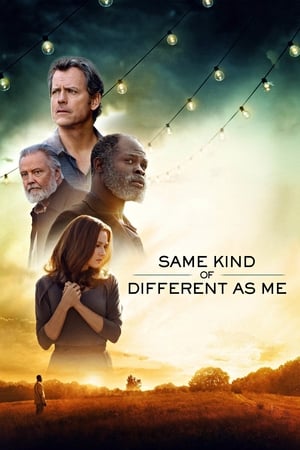 Poster Same Kind of Different as Me 2017