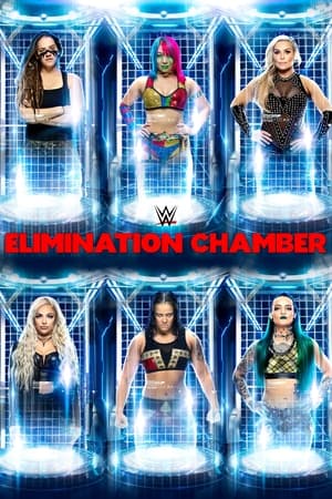 Image WWE Elimination Chamber 2020