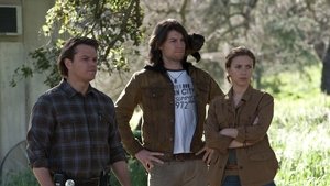 Ο Ζωολογικός Μας Κήπος – We Bought a Zoo (2011)