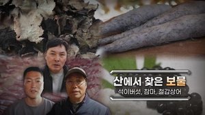 Episode 1177