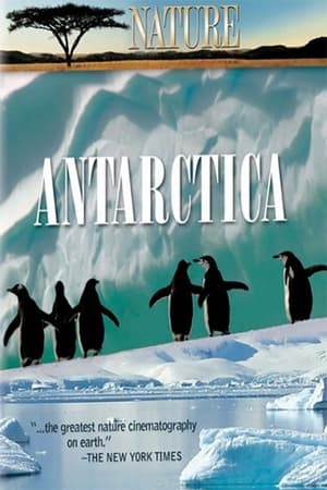 Poster Under Antarctic Ice 2003