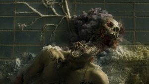 Images posters