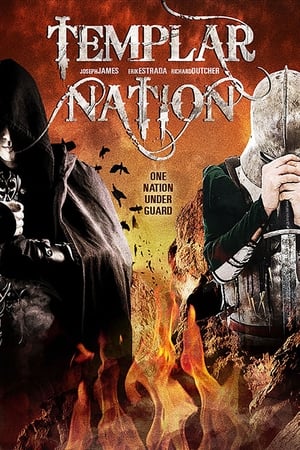 Poster Templar Nation 2013