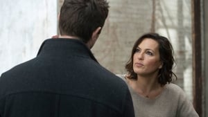 Law & Order: Special Victims Unit Season 15 :Episode 20  Beast's Obsession