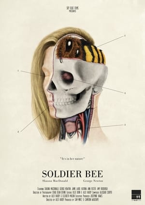 Image Soldier Bee