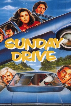 Poster Sunday Drive 1986