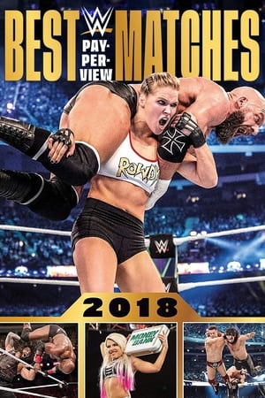 Poster WWE Best Pay-Per-View Matches 2018 2019