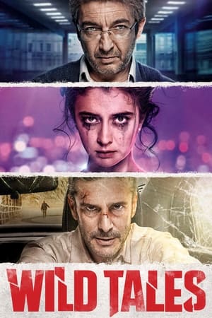 Poster Wild Tales 2014