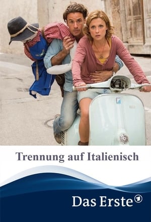 Poster Trennung auf Italienisch 2014