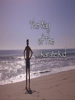 Télécharger The Way of The Karate Kid ou regarder en streaming Torrent magnet 