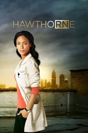 Poster Hawthorne 2009