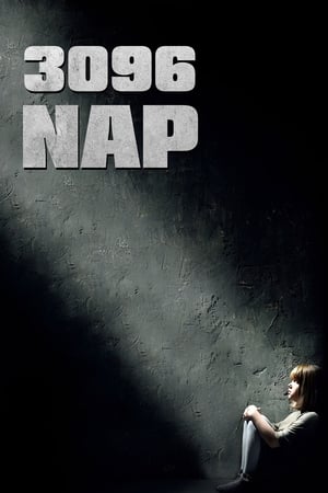 Poster 3096 nap 2013