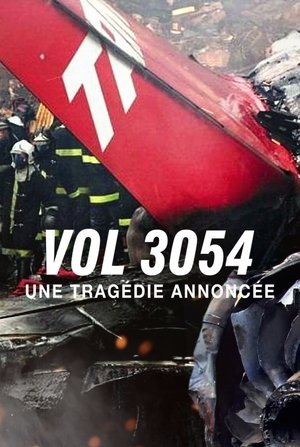 A Tragedy Foretold: Flight 3054 (2025)
