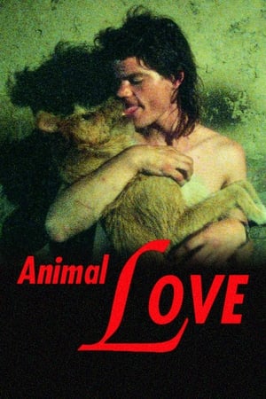 Image Animal Love