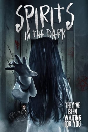 Poster Spirits in the Dark 2020