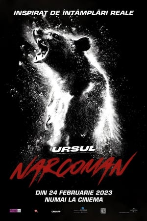 Ursul narcoman 2023