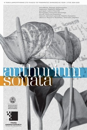 Anthurium sonata (2025)