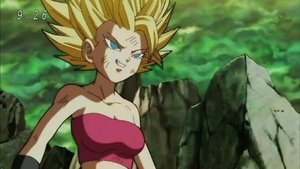 Dragon Ball Super Episode 113