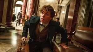 مشاهدة فيلم Fantastic Beasts and Where to Find Them 2016 مترجم – مدبلج