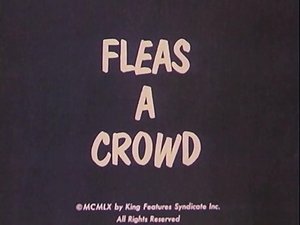 season poster
