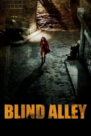 Image Blind Alley