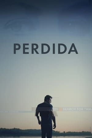 Poster Perdida 2014