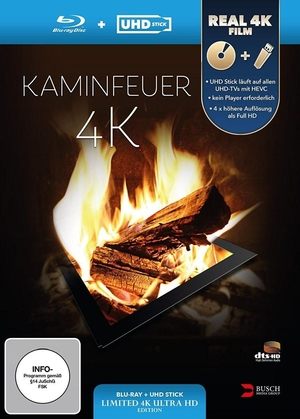 Kaminfeuer 4K 2014