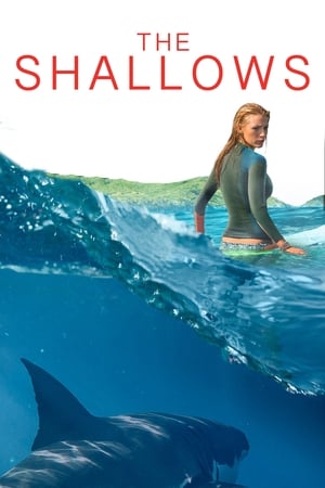 Image The Shallows