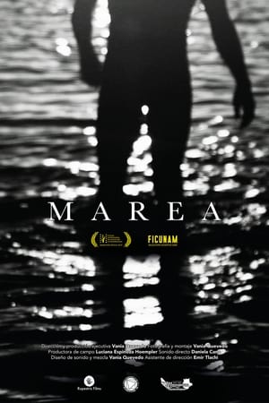 Image Marea