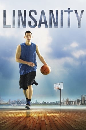 Poster Linsanity 2013