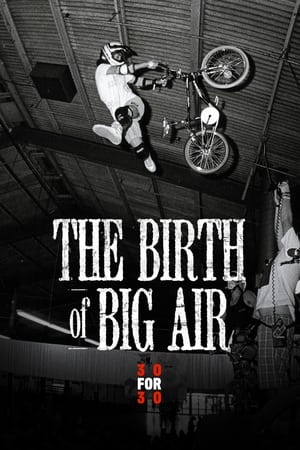 Télécharger The Birth of Big Air ou regarder en streaming Torrent magnet 