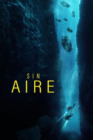 Image Sin Aire (The Dive)