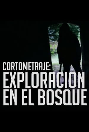 Poster Trágica exploración en el Bosque 2017