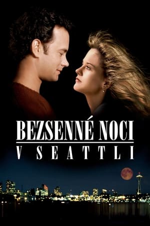 Poster Bezsenné noci v Seattli 1993