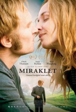 Poster The Miracle 2013