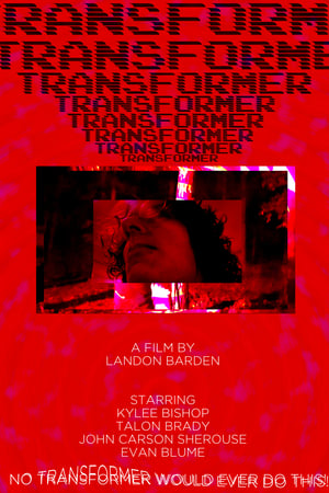 Image Transformer