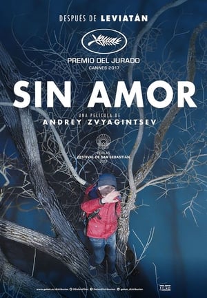 Poster Sin amor 2017