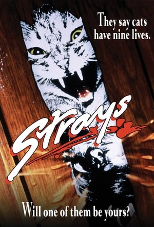 Poster Strays 1991