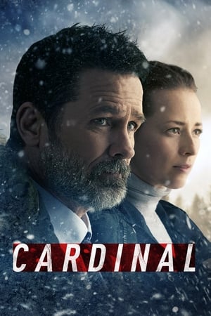 Poster Cardinal 2017