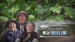 Episode 1179