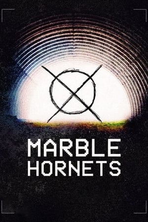 Marble Hornets 2014