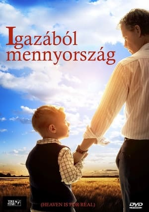 Image Igazából mennyország