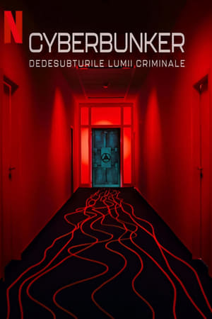 Image Cyberbunker: Dedesubturile lumii criminale