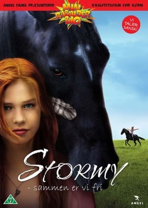 Poster Stormy - sammen er vi fri 2013