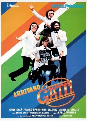 Poster Arrivano i gatti 1980